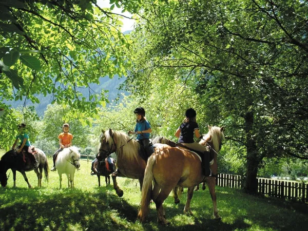 Reiten in der Umgebung auf dem Roan Camping Bella Austria.