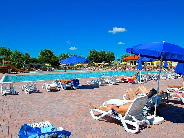 Sonnenliegen am Pool auf dem Roan Camping Del Garda.