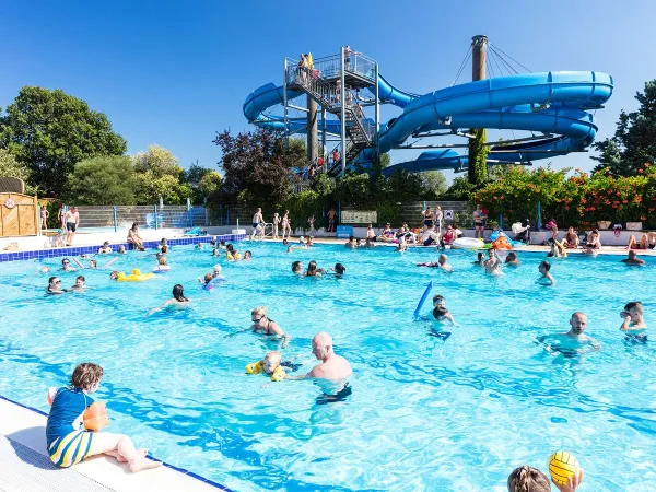 Olympisches Schwimmbad mit Wasserrutsche auf dem Campingplatz Domaine Naïades in Roan.