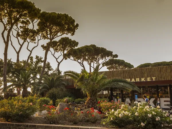 Supermarkt im Roan camping hu Park Albatros village.