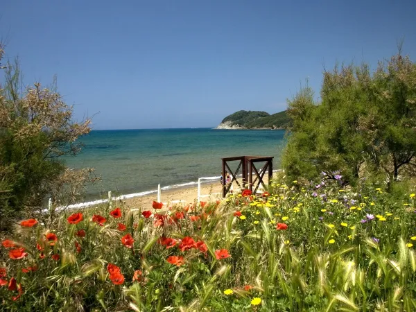 Strand und Meer in der Nähe von Roan camping hu Park Albatros village.