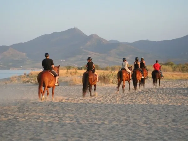 Reiten in der Nähe von Roan Camping La Sirène.