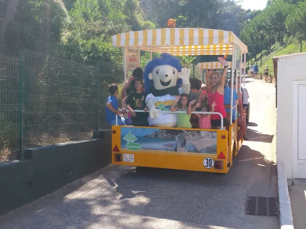 Fahrzeug mit Unterhaltung auf dem Roan-Campingplatz Cala Gogo.