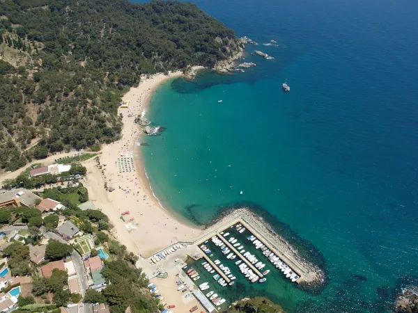 Überblick über den Strand und den Hafen des Roan-Campingplatzes Cala Canyelles.