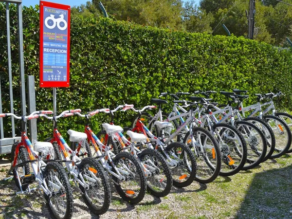 Fahrradverleih auf dem Roan Campingplatz El Garrofer.