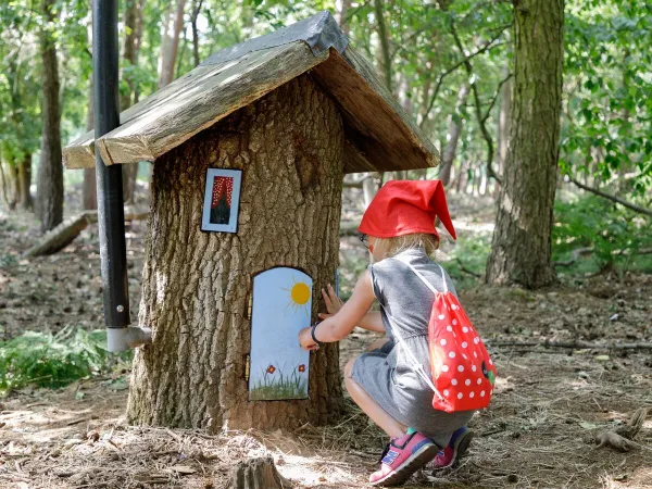 Gnome Trail im Wald Wandern von Roan Camping Terspegelt.