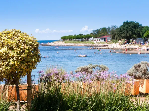 Kieselstrand im Roan Camping Park Umag.