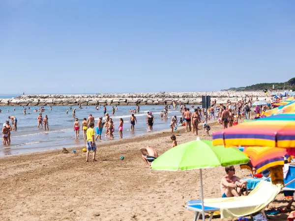 Belebter Strand auf dem Campingplatz Roan San Francesco.