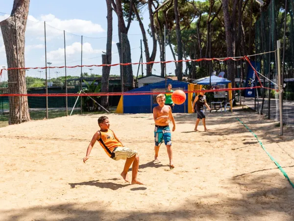 Kleine Kinder spielen Volleyball auf dem Campingplatz Roan Fabulous.