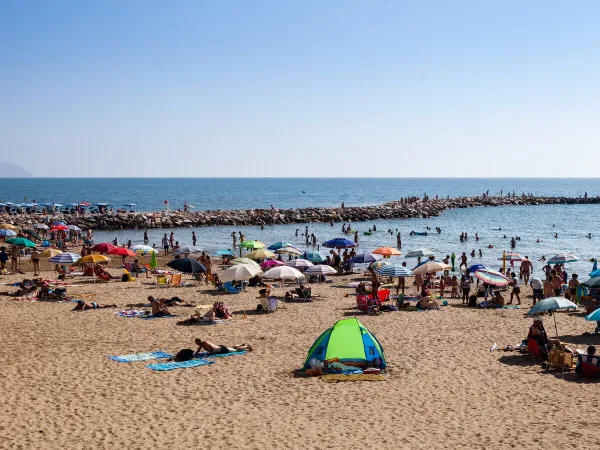Strand in der Nähe von Roan Camping hu Park Albatros village.