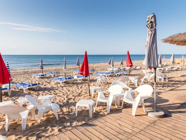 Sonnenliegen am Strand in der Nähe von Roan Camping Les Sablines.