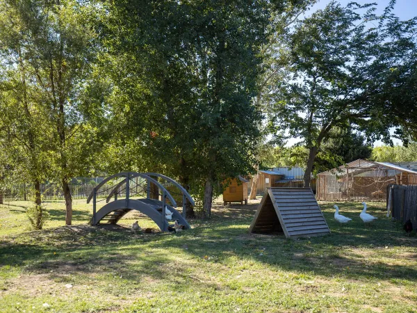 Die Umgebung der Unterkunft Roan auf dem Campingplatz La Sardane.