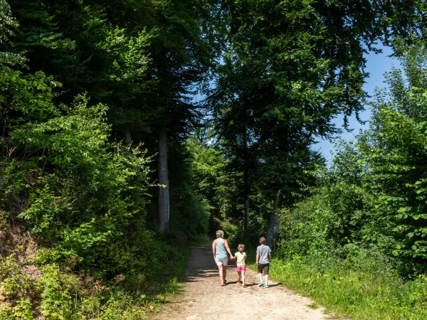 Wanderweg bei Roan Camping hu Birkelt village.