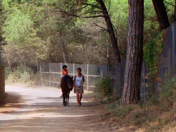 Reiten in der Nähe von Roan camping Playa Brava.