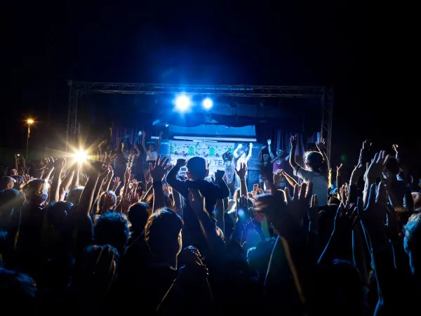 Disco-Abend auf dem Roan Camping hu Park Albatros village.