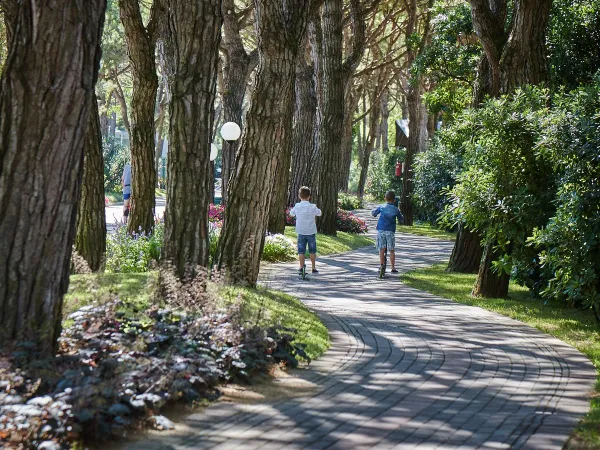 Wanderweg auf dem Campingplatz Roan Mediterraneo.