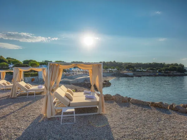 Luxuriöse Sonnenliegen am Strand des Roan camping Krk Camping Resort.