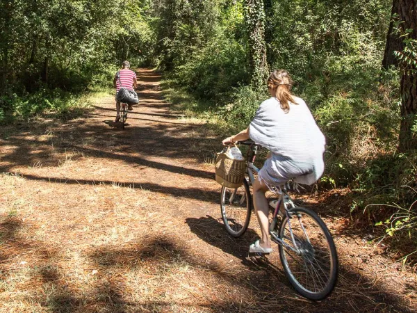 Radfahren in der Umgebung des Campingplatzes Roan Sole Family Camping Village.