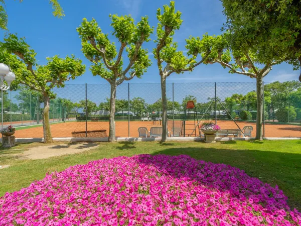 Tennisplätze auf dem Campingplatz Roan Rubicone.