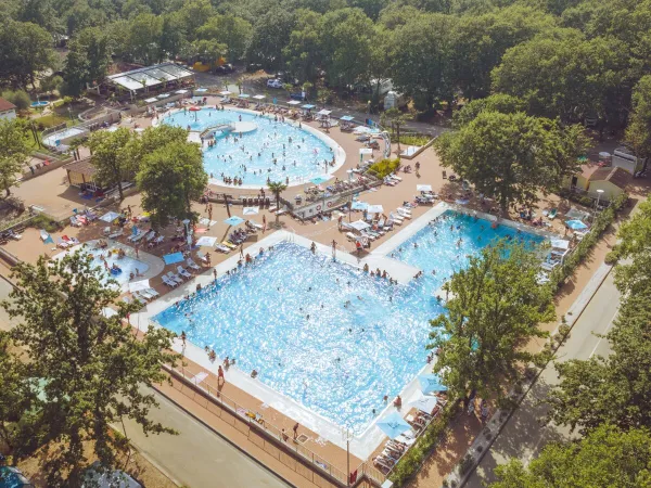 Übersicht über das Schwimmbad auf dem Roan Campingplatz Bijela Uvala.