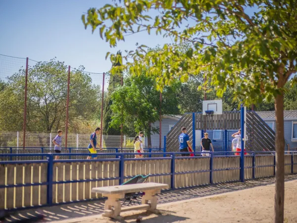 Basketballplatz auf dem Campingplatz Roan La Sardane.