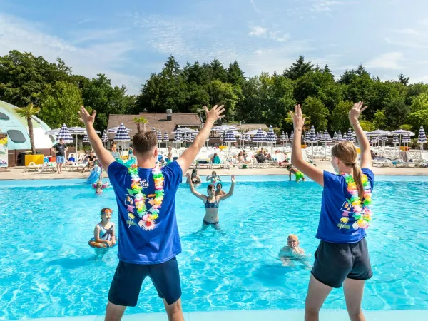 Pool-Animation auf dem Roan Camping hu Birkelt village.