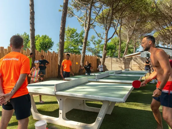 Tischtennis auf dem Campingplatz Roan Le Castellas.