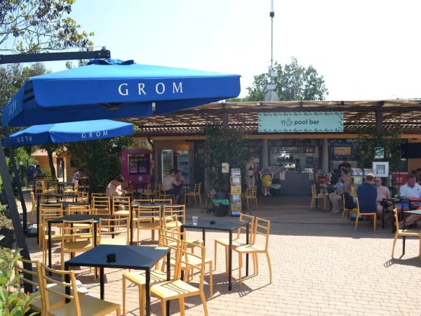 Die Poolbar auf dem Roan Campingplatz Montescudaio.