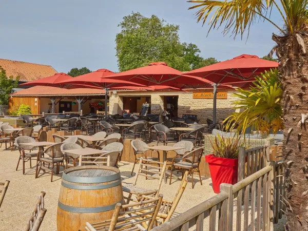 Terrasse auf dem Campingplatz Roan La Clairière