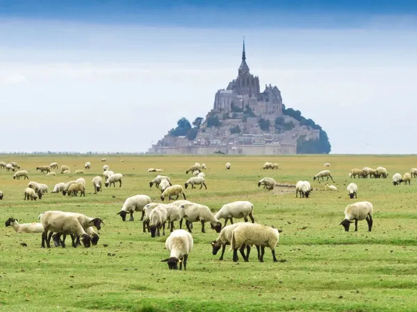 Die Umgebung der Bretagne in der Nähe von Roan camping La Vallée.