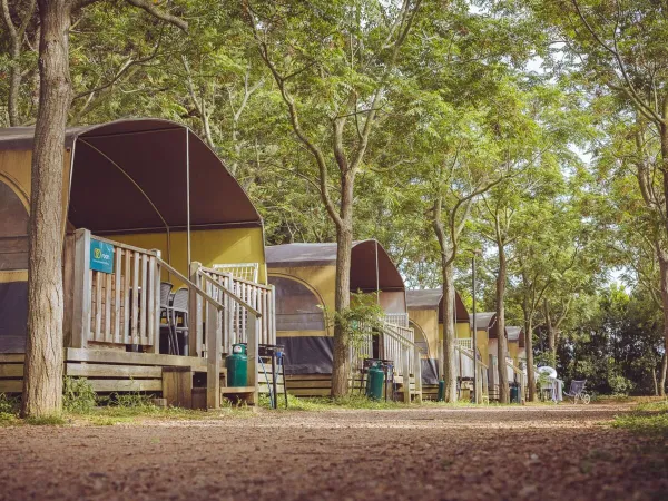Lodgetent Urlaub op Roan Camping Le Capanne.