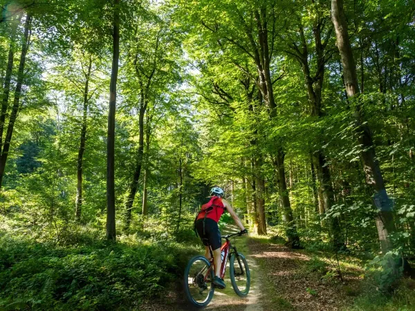 Mountainbiken in der wunderschönen Landschaft Luxemburgs auf dem Campingplatz Roan hu Birkelt village.