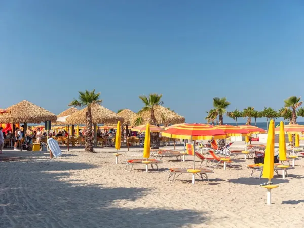 Strand auf dem Campingplatz Roan Spiaggia e Mare.