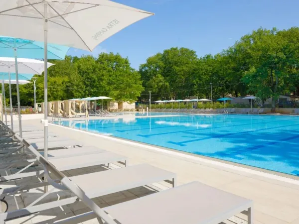 Olympischer Pool mit Sonnenliegen auf dem Campingplatz Roan Bijela Uvala.