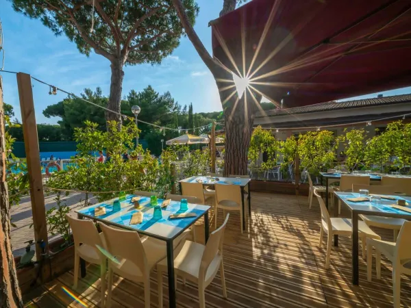 Restaurant auf dem Campingplatz Roan Del Forte.