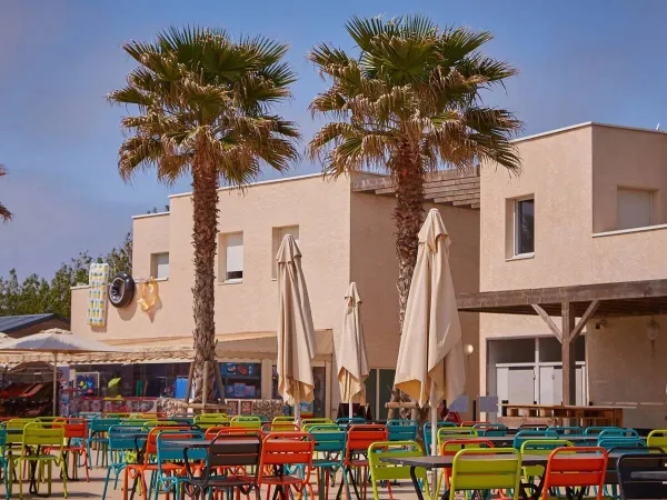 Die farbenfrohe Terrasse mit Palmen auf dem Roan-Campingplatz Le Petit Mousse.