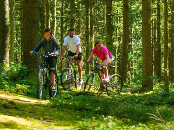 Mountainbiking in den schönen Wäldern der Ardennen.