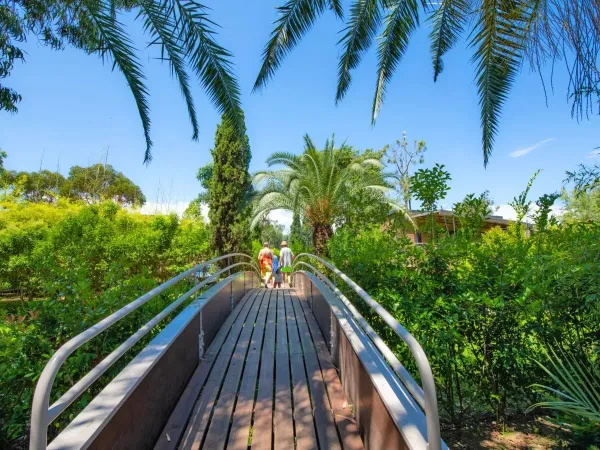 Ein Steg mit grünem Garten auf dem Campingplatz Roan Arinella Bianca