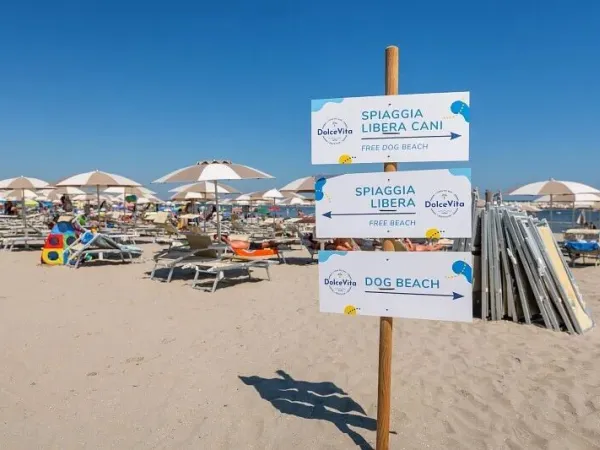 Der Sandstrand an der Adriaküste grenzt direkt an den Campingplatz.