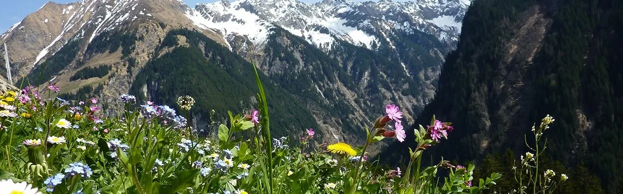 Campings Österreich