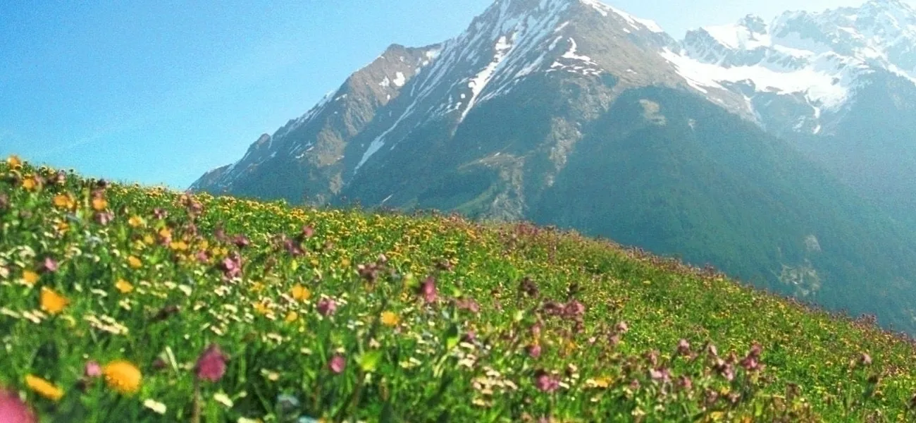 Campingplätze in Österreich mit Schwimmbad