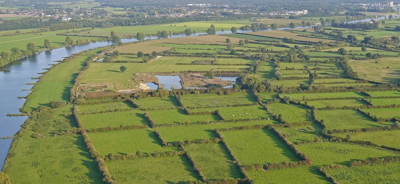 Die Maasheggen Niederlande.