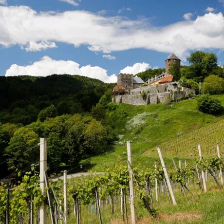 Warum Urlaub in Österreich so beliebt ist