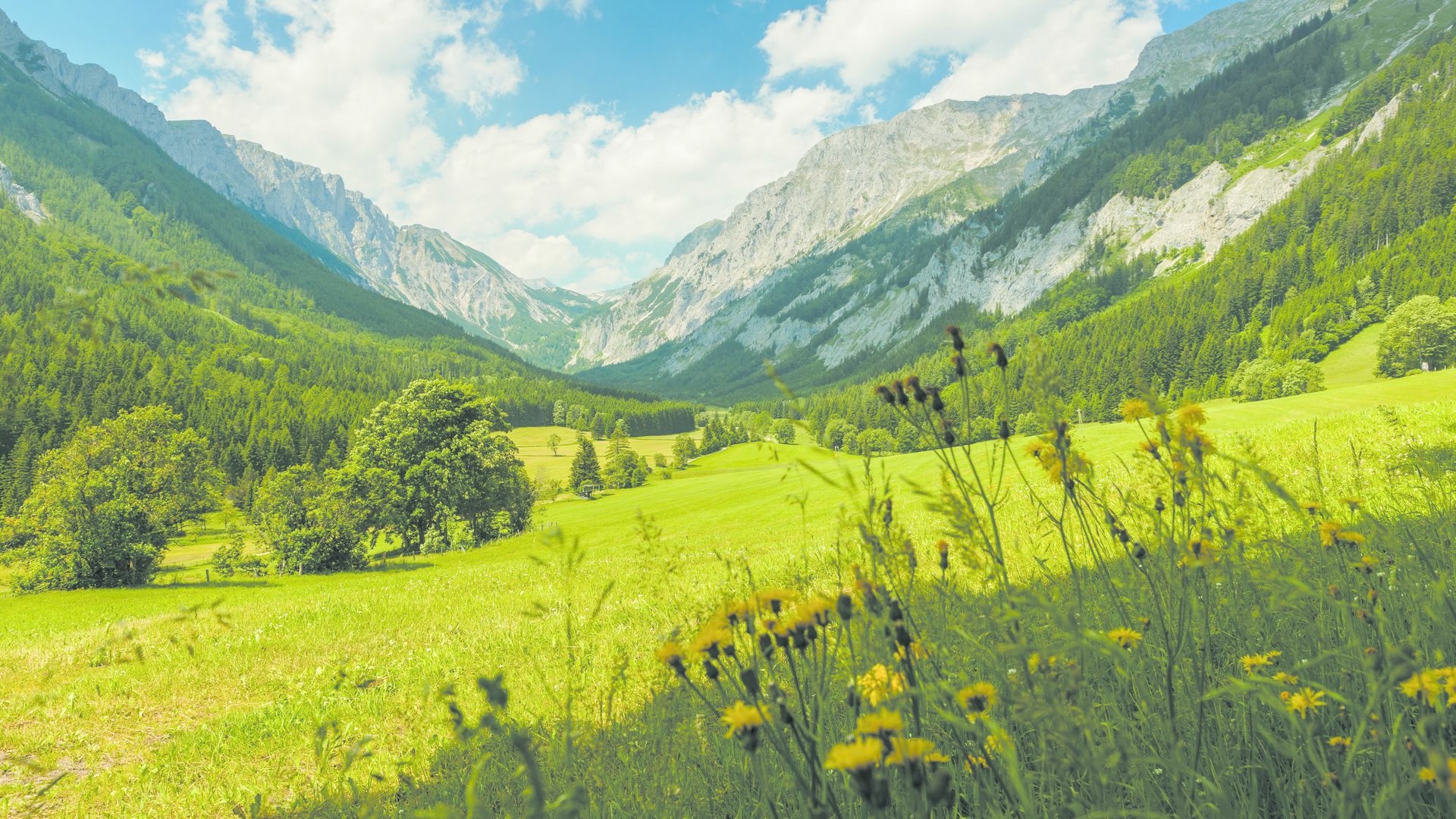 Camping Steiermark